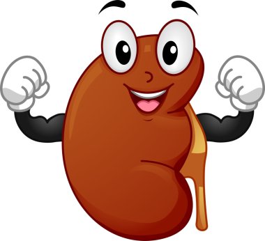 Sağlıklı Böbrek maskot