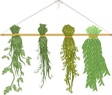 Herbs Drying on a Rack clipart