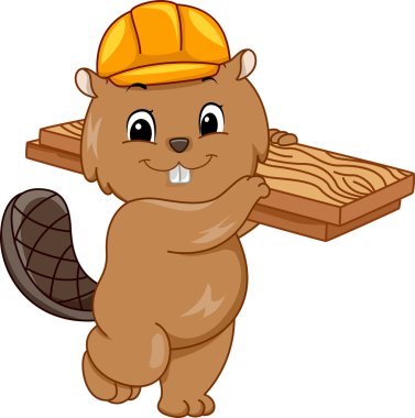 Baret inşaat Beaver