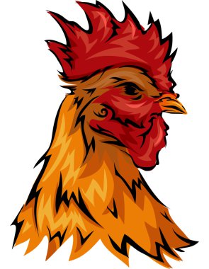 Rooster'ın kini kafa Gaga yakın çekim ile