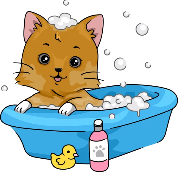 Cat Taking a Bath — Stock Photo, Image