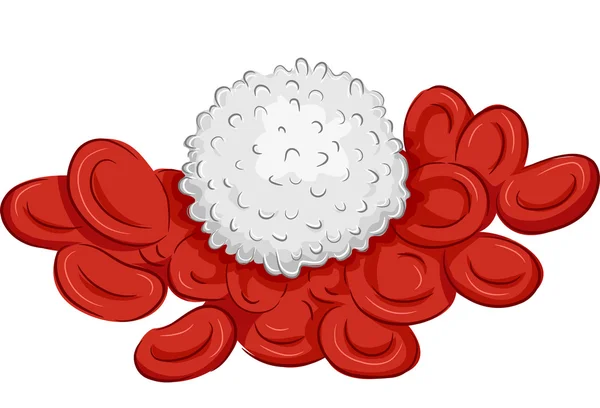 Glóbulos rojos y blancos — Foto de Stock