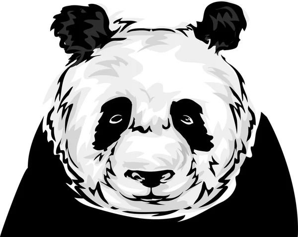 Panda in bianco e nero — Foto Stock