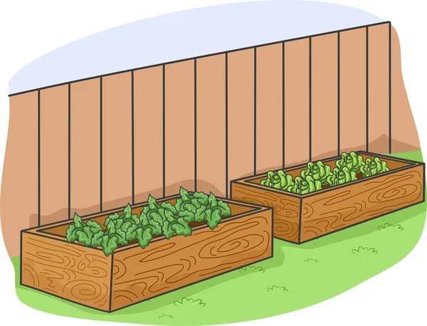 Raised Garden Beds — Stock Photo, Image