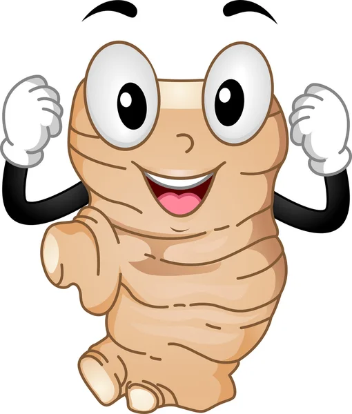 Mascote de raiz de gengibre — Fotografia de Stock