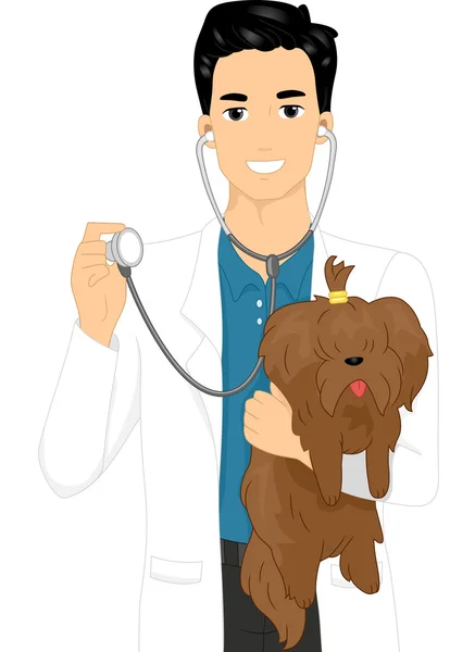Κτηνίατρος τον έλεγχο ενός σκύλου — Φωτογραφία Αρχείου