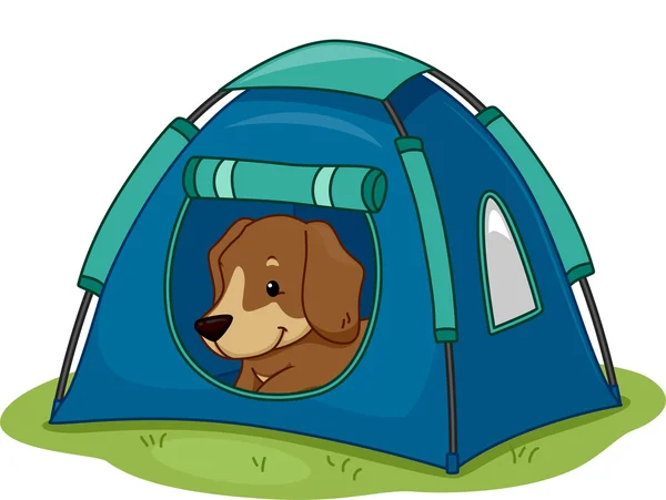 Pies namiot kempingowy — Zdjęcie stockowe