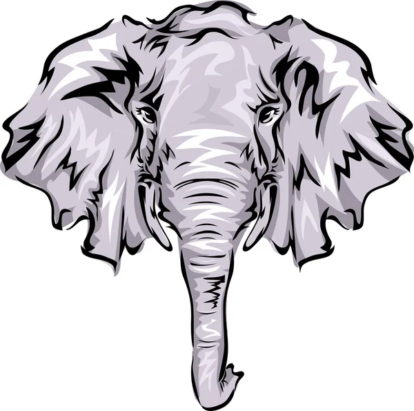 Сірий головою слона — стокове фото