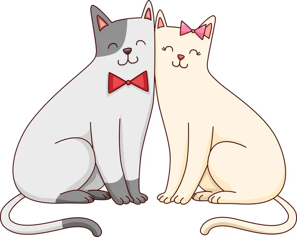 Cute Cat Couple — Stock Photo, Image