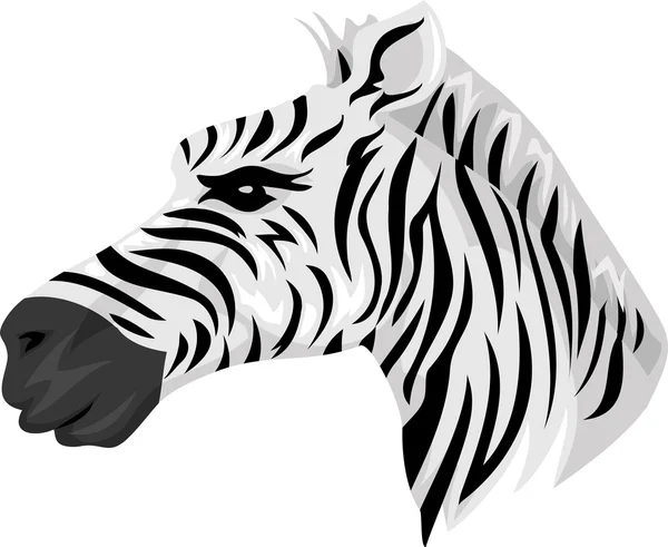 Pruhovaná Zebra maskot — Stock fotografie