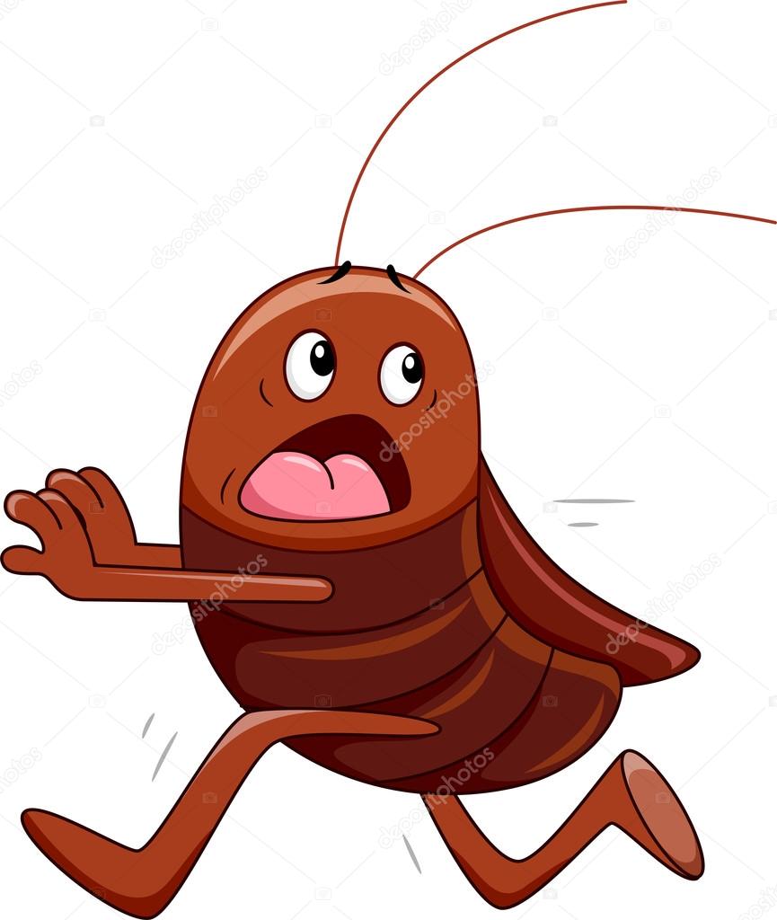 Cockroach Running Away