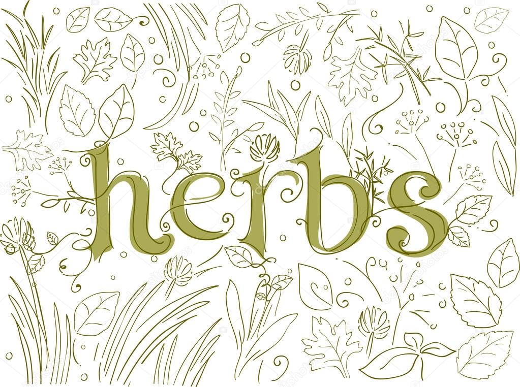 Herbs Ornate Lettering