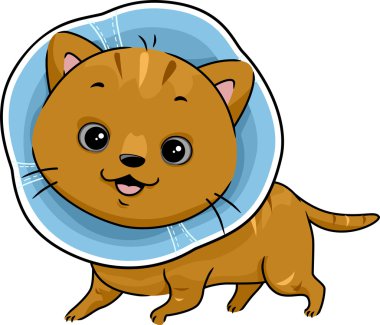 Yorgunluk bir yaka kedi