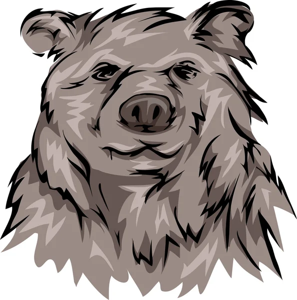 Grizzly Bear's Head — Zdjęcie stockowe