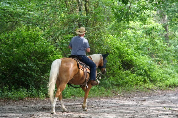 Man Horseback Equitação — Fotografia de Stock