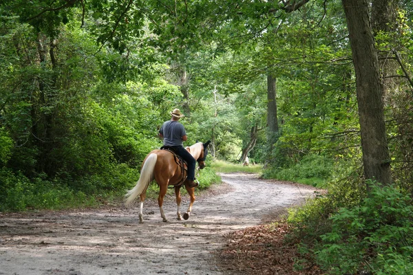 Man Horseback Riding — Stock Photo, Image