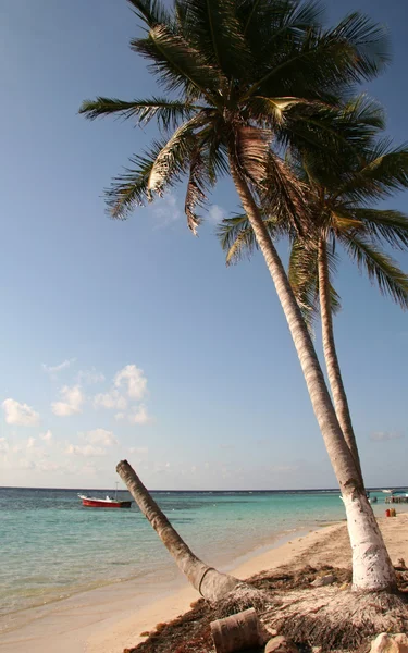 Mexico Beach Coastline — Stock Photo, Image