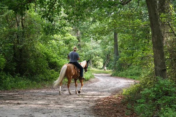 Man Horseback Equitação Fotografia De Stock
