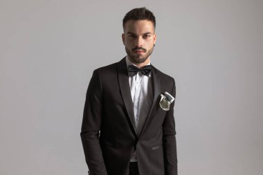 Siyah smokin, papyon ve mendil takan çekici ve zarif bir adam stüdyoda açık gri arka planda dikiliyor ve özgüvenle poz veriyor.