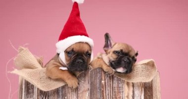 Çuval bezi kesesi ile kaplı eski ahşap kutu ve iki küçük Noel Baba yardımcısı tutuyor tembellik ediyor, uyuyor ve içeride dinleniyor.