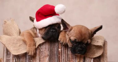 Çuval çuvalı Noel Baba ve tembel yardımcısını tutan eski tahta kutuyu örtüyor.