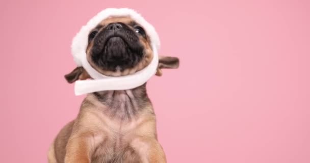 Adorable Little Santa Claus Wearing Christmas Hat Looking Licking Nose — Stock Video