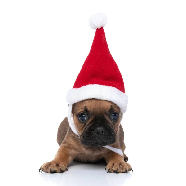 法国斗牛犬宝宝头戴圣诞帽 望着别处 躺在白色的背景下 — 图库照片
