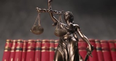 Bronz gözlü tanrıça, dönen hukuk heykelini temsil ediyor. Tarafsızlığı simgeleyen bir skalayı ve kılıcı tutuyor. Üniversite odasında, kırmızı kitaplardan oluşan bir arka planı olan iki geniş hukuk kaynağını simgeliyor.