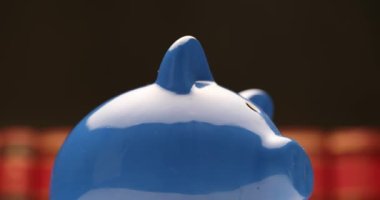 Ekonomi konsepti domuz kumbarası tarafından temsil ediliyor. Adam para ve yatırım koyuyor, kırmızı kitapların önüne para biriktiriyor.