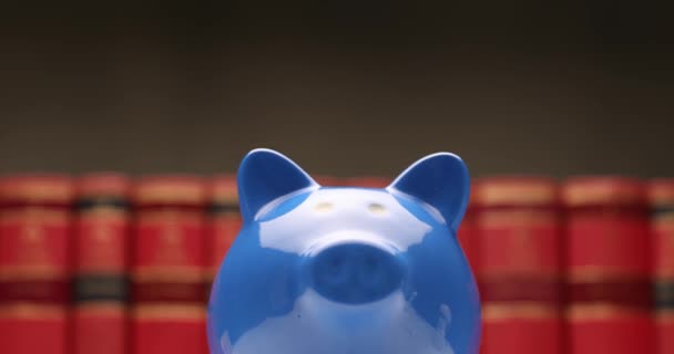 Concept Richesse Économie Représenté Par Une Tirelire Bleue Devant Des — Video