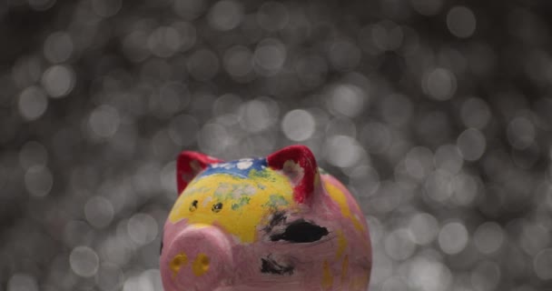 Umělecká Prasečí Banka Otáčí Bubliny Padají Praskají Hlavě — Stock video