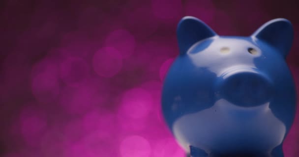 不同角度拍摄的蓝色小猪银行的项目视频 在粉色灯光的背景下左右移动 — 图库视频影像
