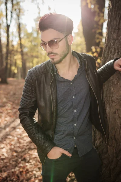 Uomo di moda guardando giù mentre appoggiato su un albero — Foto Stock