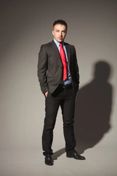 Homem de negócios atraente em pé no fundo do estúdio — Fotografia de Stock
