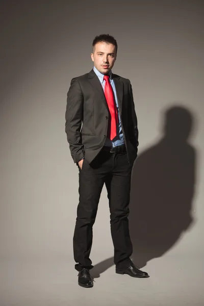 Attractive business man standing on studio background — Stock Photo, Image