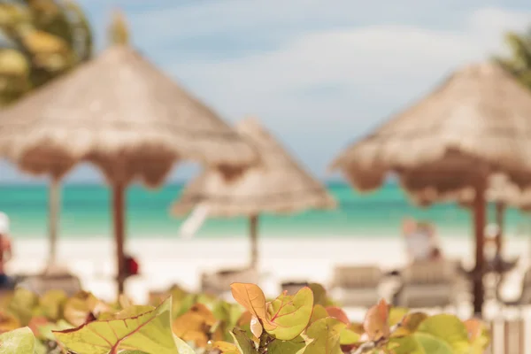 Tulum, Meksika için Plajda şemsiye. — Stok fotoğraf