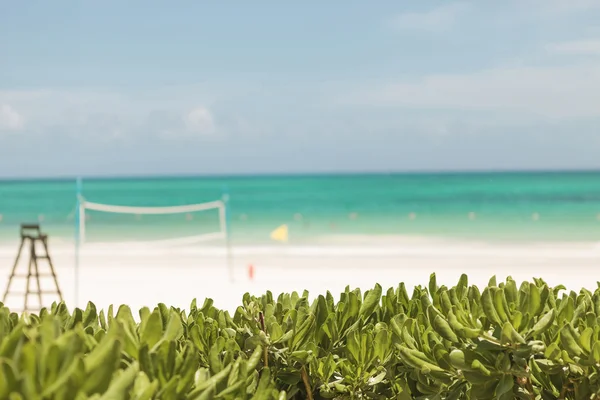 View of the maroma beach in  Mexico. — Stock Photo, Image