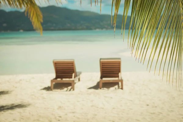 Фотография двух лежаков на пляже, под пальмами — стоковое фото
