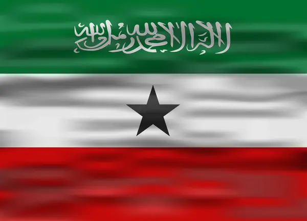 Realistiska flagga somaliland — Stock vektor