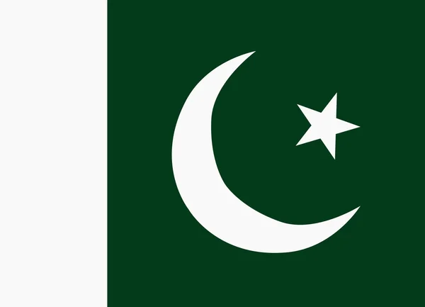 Flagga pakistan — Stock vektor