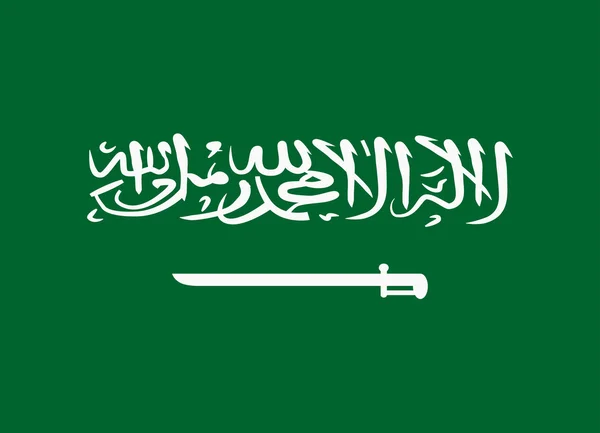 Flag of saudi arabia — Stock Vector