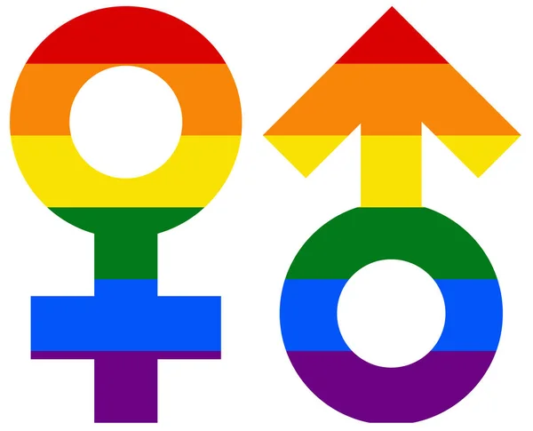 Drapeau Lgbt Féminin Masculin Gay Lesbienne Bisexuel Transgenre Icône Vecteur — Image vectorielle
