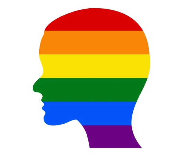 Chef Drapeau Lgbt Gay Lesbienne Bisexuel Transgenre Icône Vecteur — Image vectorielle