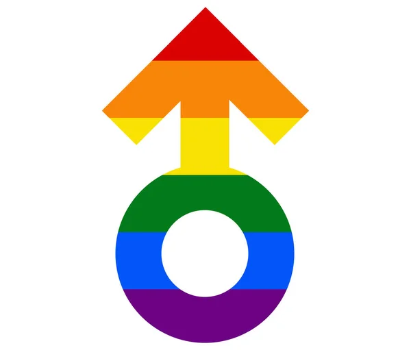 Drapeau Masculin Lgbt Gay Lesbienne Bisexuel Transgenre Icône Vecteur — Image vectorielle