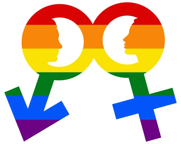 Perfil Hombre Mujer Bandera Lgbt Gay Lesbiana Bisexual Transexual Icono — Vector de stock
