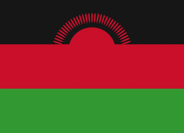 Malawi-Flaggenvektor — Stockvektor