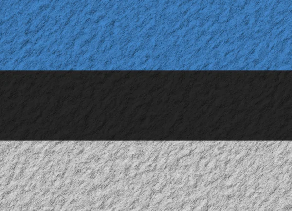 에스토니아 깃발 돌 — 스톡 사진