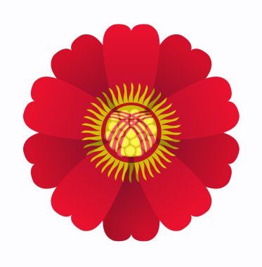 Kırgızistan bayrağı çiçek