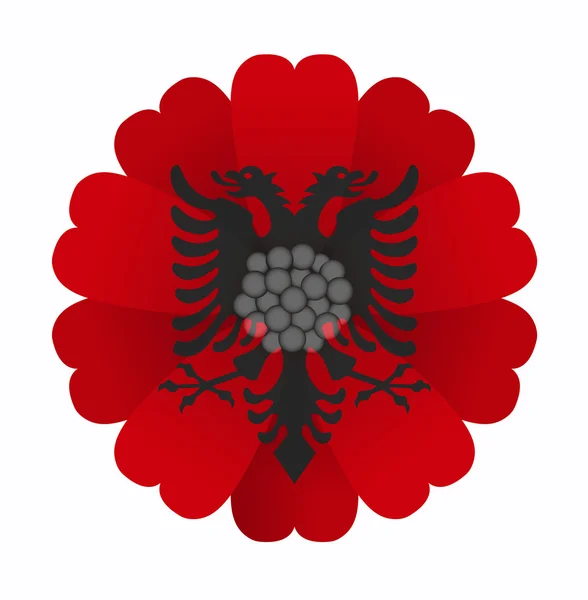 Flagge Blume Albanien — Stockvektor