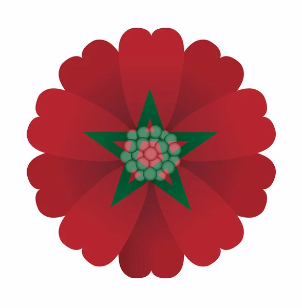 Drapeau fleur Maroc — Image vectorielle